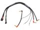 LRP 2x 2S-Ladekabel - 35cm - XT60  XH | 4/5mm  2mm